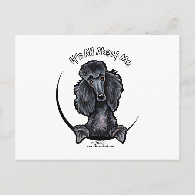 Black Standard Poodle IAAM Postcard (Front)