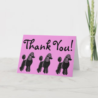 Black Standard Poodles Pink Thank You Card