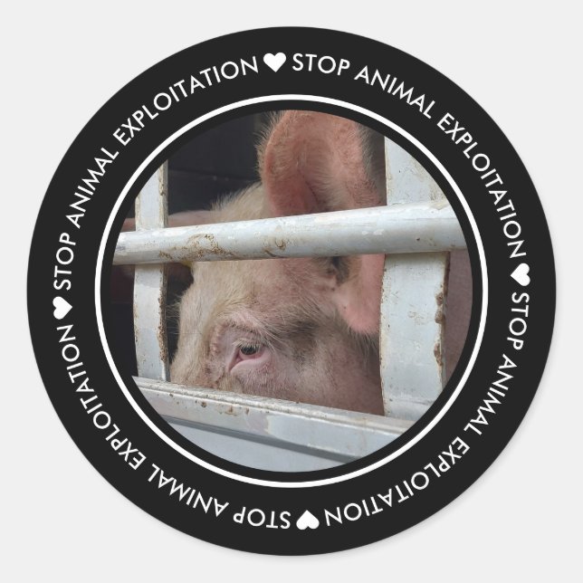 Black Stop Animal Exploitation Pig Photo Sticker (Front)