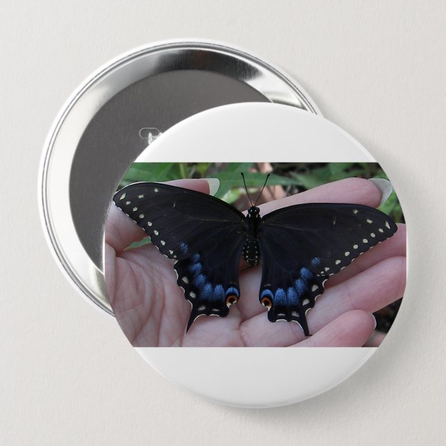 Black Swallowtail Butterfly #1 Button (Front & Back)