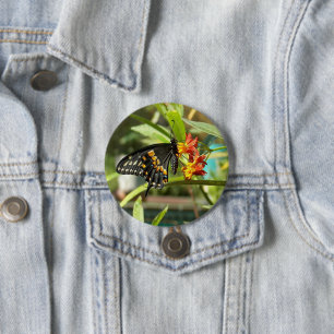 Black Swallowtail Butterfly #2 Button