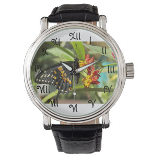 Black Swallowtail Butterfly #2-watch Watch