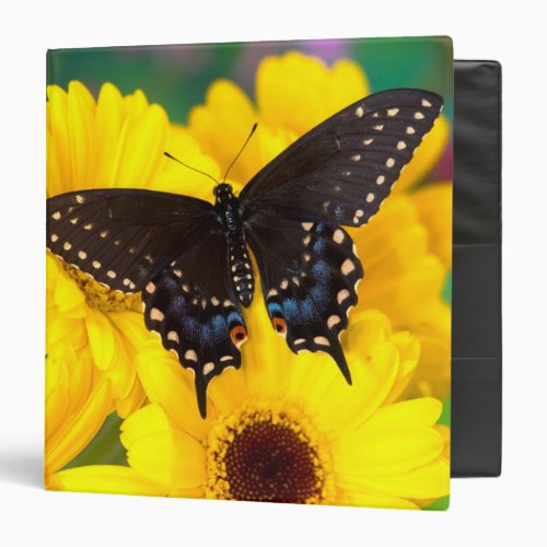 Black Swallowtail butterfly 3 Ring Binder