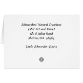 Black Swallowtail Butterfly Cards (Back Horizontal)