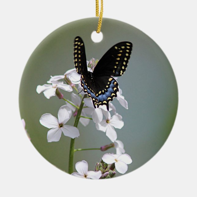 Black swallowtail butterfly ceramic ornament (Front)