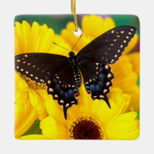 Black Swallowtail butterfly Ceramic Ornament