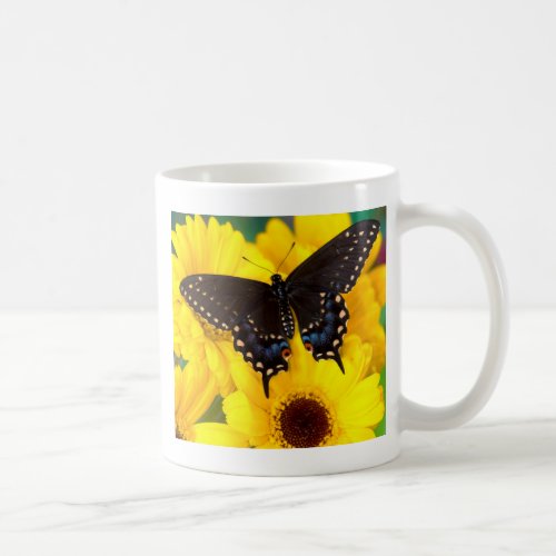 Black Swallowtail butterfly Coffee Mug