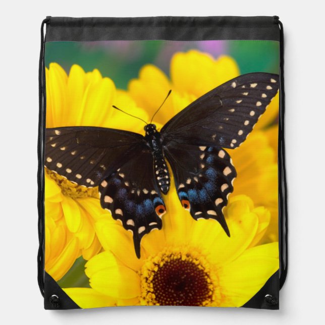 Black Swallowtail butterfly Drawstring Bag (Front)