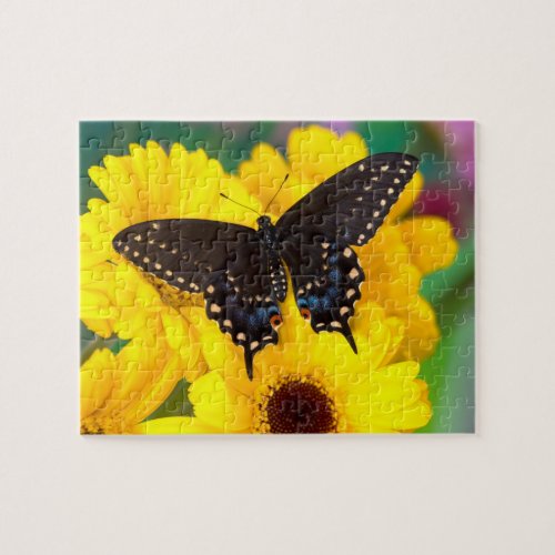 Black Swallowtail butterfly Jigsaw Puzzle