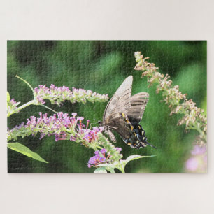 Black Swallowtail butterfly Jigsaw Puzzle