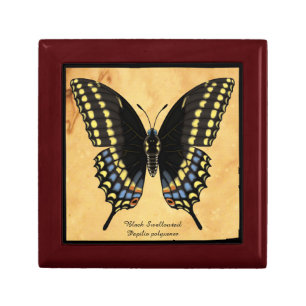 Black Swallowtail Butterfly Keepsake Box