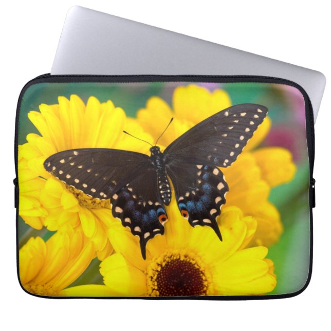 Black Swallowtail butterfly Laptop Sleeve (Front)