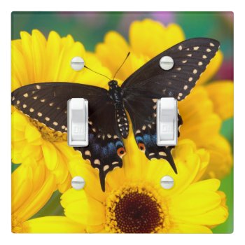 Black Swallowtail Butterfly Light Switch Cover by theworldofanimals at Zazzle