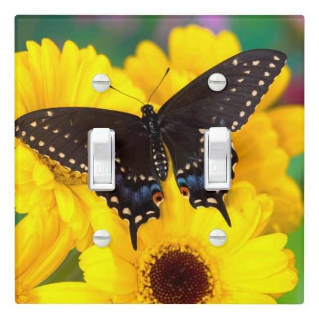 Black Swallowtail butterfly Light Switch Cover (In Situ)