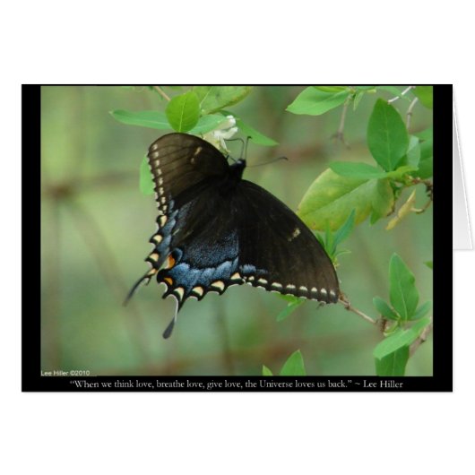Black Swallowtail Butterfly - Love Gifts & Apparel (Front Horizontal)