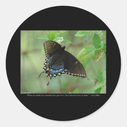 Black Swallowtail Butterfly _ Love Gifts  Apparel Classic Round Sticker