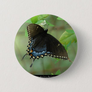 Black Swallowtail Butterfly - Love Gifts & Apparel Pinback Button