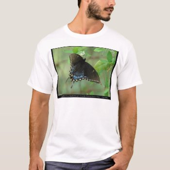 Black Swallowtail Butterfly - Love Gifts & Apparel T-shirt by leehillerloveadvice at Zazzle