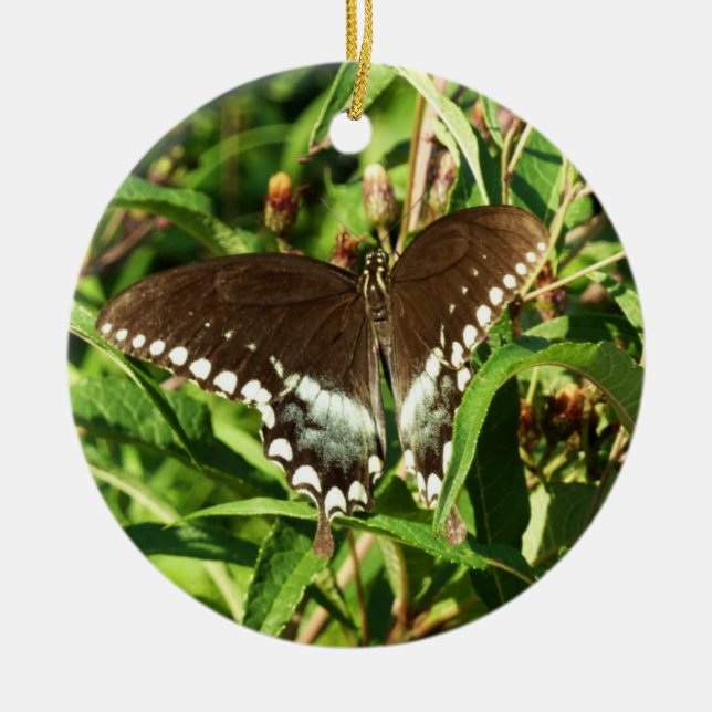 Black Swallowtail Butterfly Nature Photography Ceramic Ornament (Front)