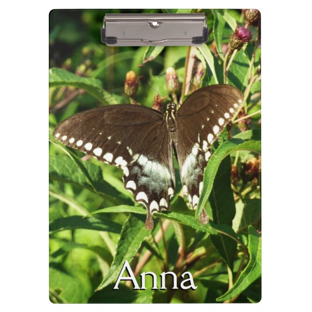 Black Swallowtail Butterfly Nature Photography Clipboard (Front)