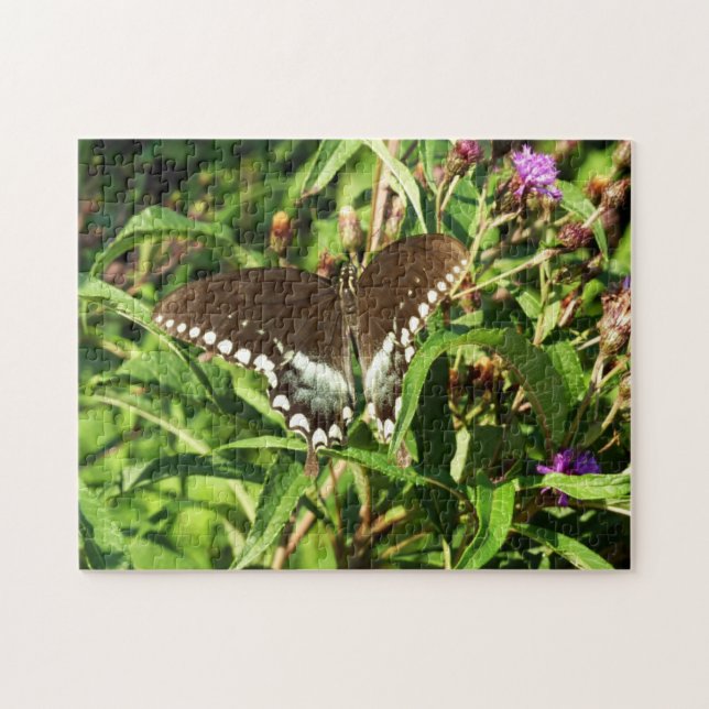 Black Swallowtail Butterfly Nature Photography Jigsaw Puzzle (Horizontal)