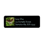 Black Swallowtail Butterfly Nature Photography Label