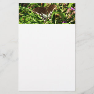 Black Swallowtail Butterfly Nature Photography Stationery