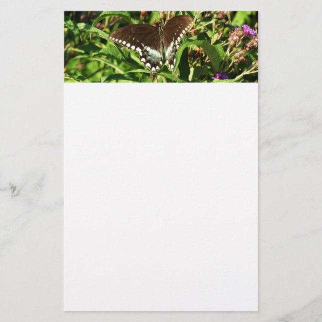 Black Swallowtail Butterfly Nature Photography Stationery (Front)