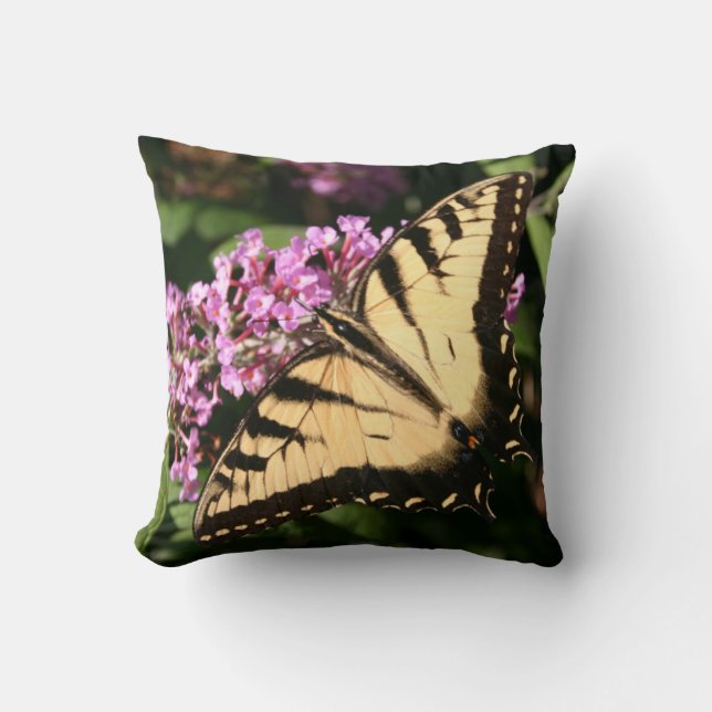 Black Swallowtail Butterfly Pillow (Front)