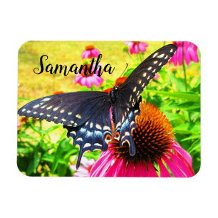 Black Swallowtail Butterfly Pink Echinacea Flowers Magnet