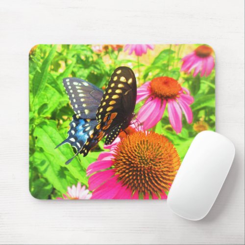 Black Swallowtail Butterfly Pink Echinacea Flowers Mouse Pad