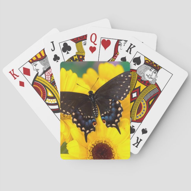 Black Swallowtail butterfly Poker Cards (Back)