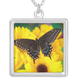 Black Swallowtail butterfly Silver Plated Necklace