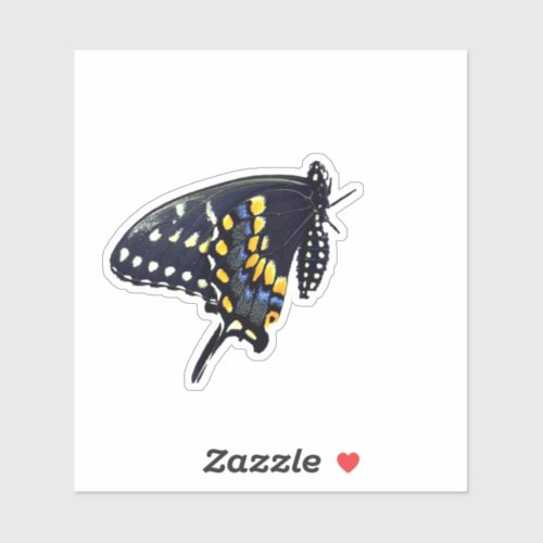 Black Swallowtail Butterfly Sticker