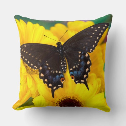 Black Swallowtail butterfly Throw Pillow
