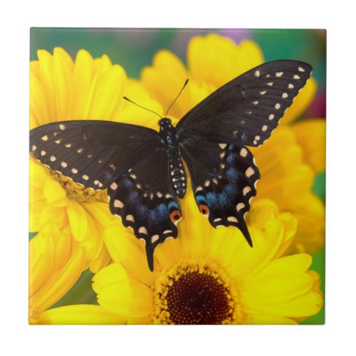 Black Swallowtail butterfly Tile