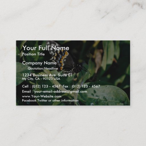 Customizable Black swallowtail butterfly, Wichita, Kansas, U.S. Business Card Template
