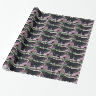 Black Swallowtail Butterfly-wrapping paper