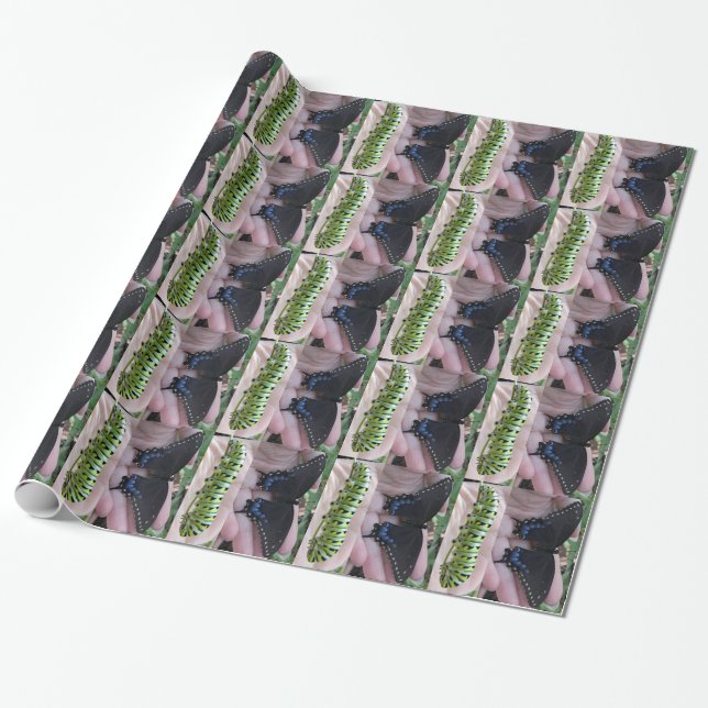 Black Swallowtail Cat/Butterfly-wrapping paper (Unrolled)