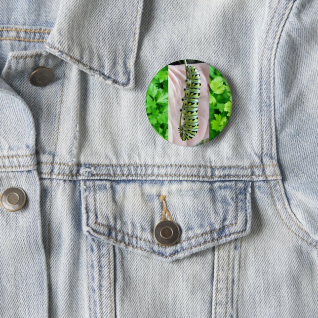 Black Swallowtail Caterpillar/Butterfly  Button (In Situ)