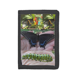 Black Swallowtail Caterpillar/Butterfly-wallet Tri-fold Wallet