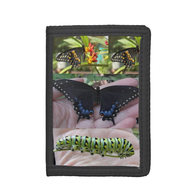Black Swallowtail Caterpillar/Butterfly-wallet Trifold Wallet (Front Vertical)