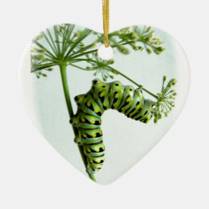Black Swallowtail Caterpillar eating parsley Ceramic Ornament