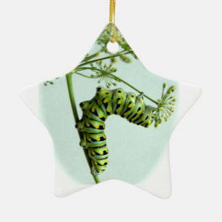 Black Swallowtail Caterpillar eating parsley Ceramic Ornament