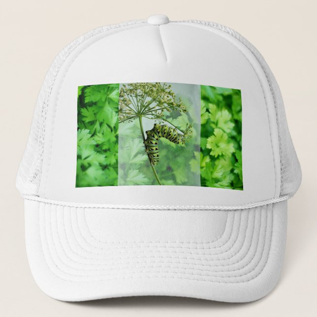 Black Swallowtail Caterpillar Eating Parsley  Trucker Hat (Front)
