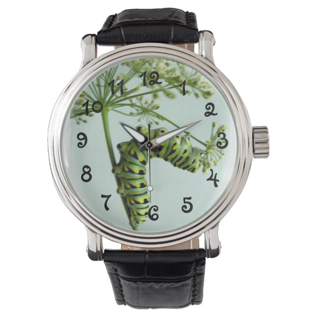 Black Swallowtail Caterpillar eating parsley-watch Watch (Front)