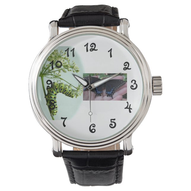 Black Swallowtail Caterpillar eating parsley-watch Watch (Front)