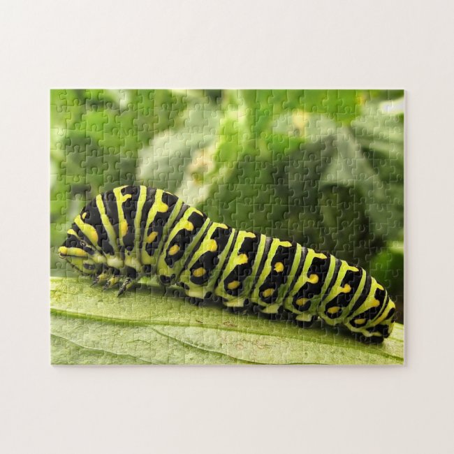 Black Swallowtail Caterpillar Jigsaw Puzzle