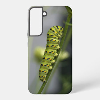 Black swallowtail caterpillar (parsleyworm) on Dil Samsung Galaxy S22+ Case