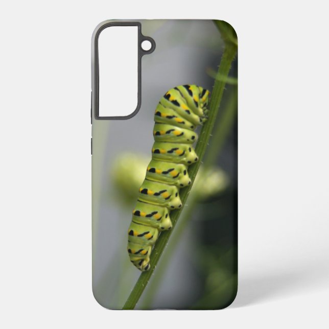 Black swallowtail caterpillar (parsleyworm) on Dil Samsung Galaxy Case (Back)